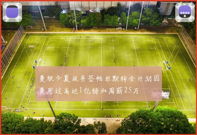 曼联今夏放弃签帕尔默转会计划因费用过高达1亿镑加周薪25万